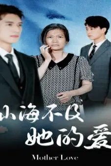 《山海不及她的爱》封面