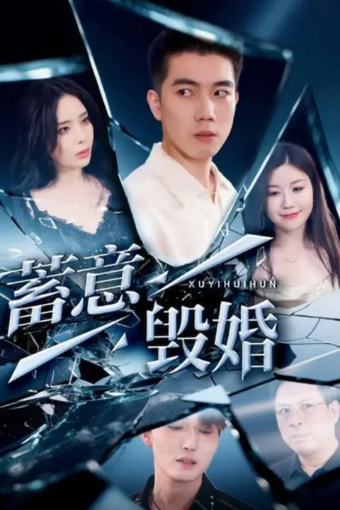 《蓄意毁婚》封面