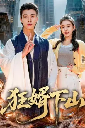 《狂婿下山》封面