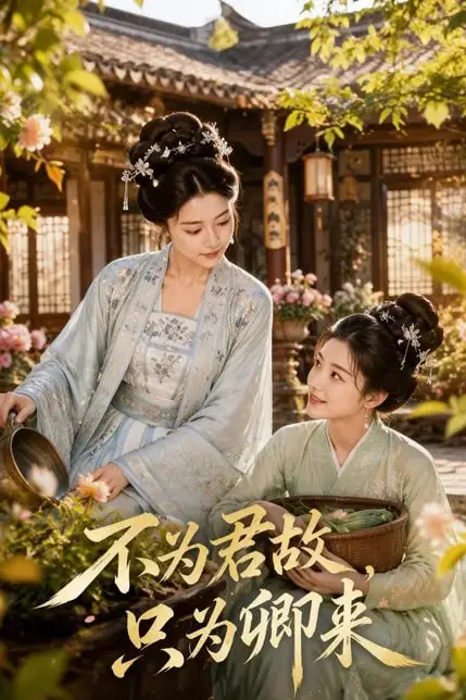 《不为君故,只为卿来》封面