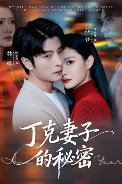 《丁克妻子的秘密》封面
