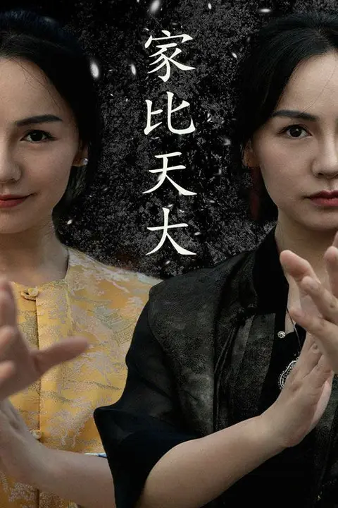 《家比天大》封面