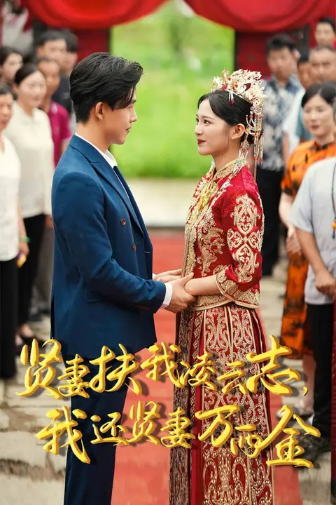 《新版:贤妻扶我凌云志,我还贤妻万两金》封面