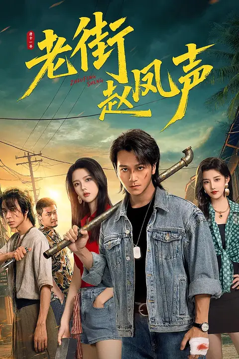 《老街赵凤声》封面