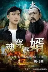 《魂穿霸婿》封面