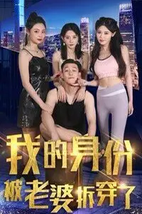 《我的身份被老婆拆穿了》封面
