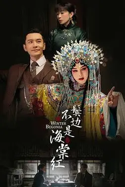 《鬓边不是海棠红》封面