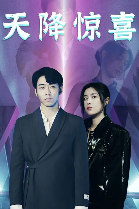 《天降惊喜》封面