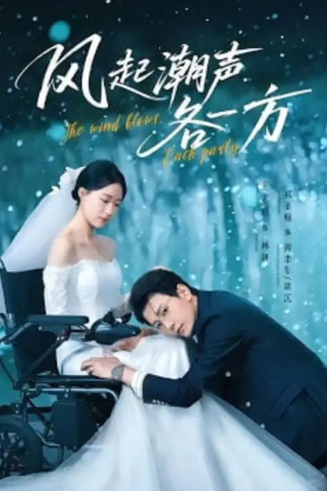 《风起潮声各一方》封面