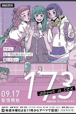 《17.3 关于性》封面