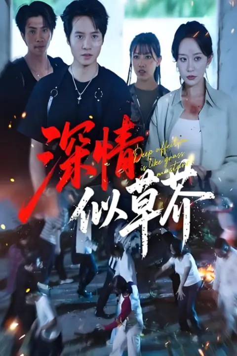《深情似草芥》封面