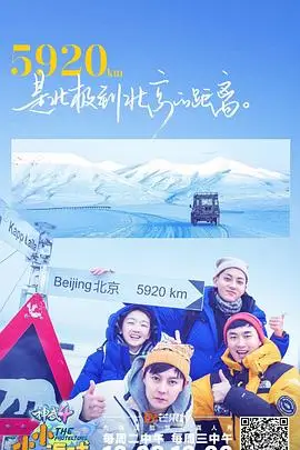 《小小的追球》封面