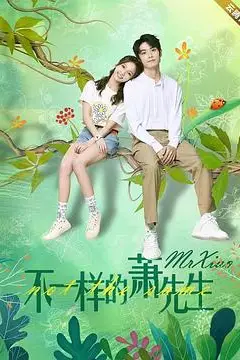 《不一样的萧先生》封面