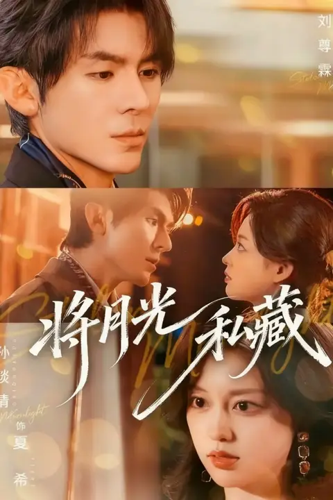 《将月光私藏》封面