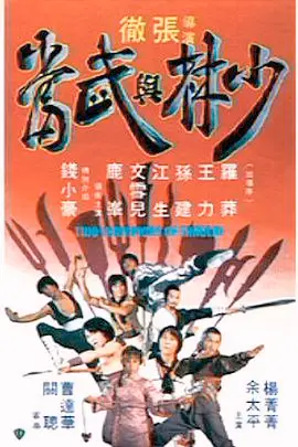 《少林与武当》封面