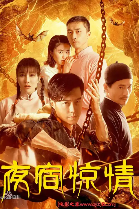 《夜宿惊情》封面