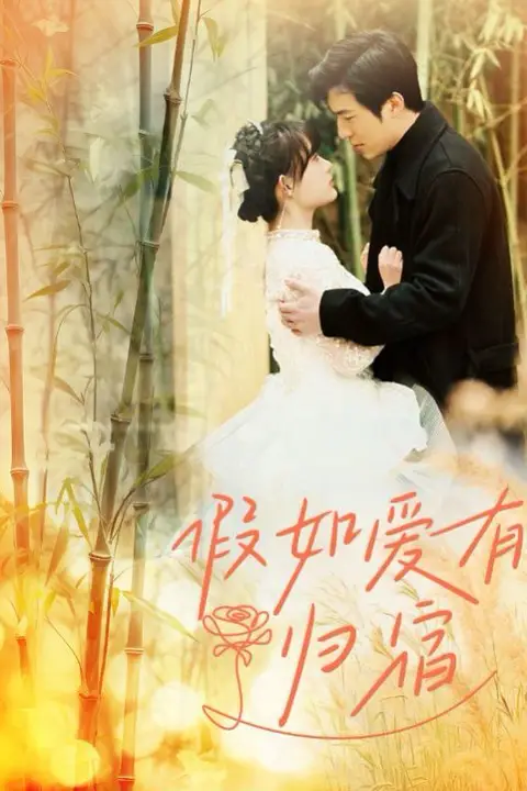 《假如爱有归宿》封面