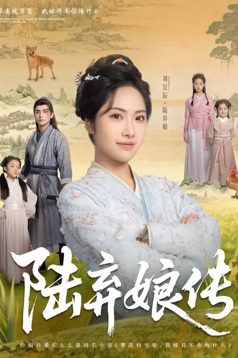 《陆弃娘传》封面