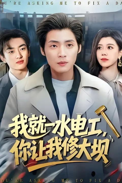 《我就一水电工,你让我修大坝》封面