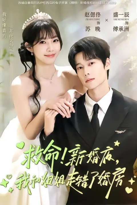 《救命!新婚夜,我和姐姐走错了婚房》封面