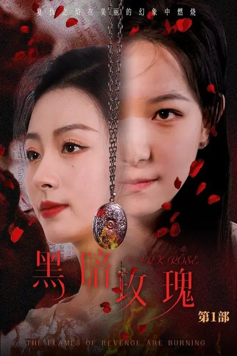 《黑暗玫瑰》封面