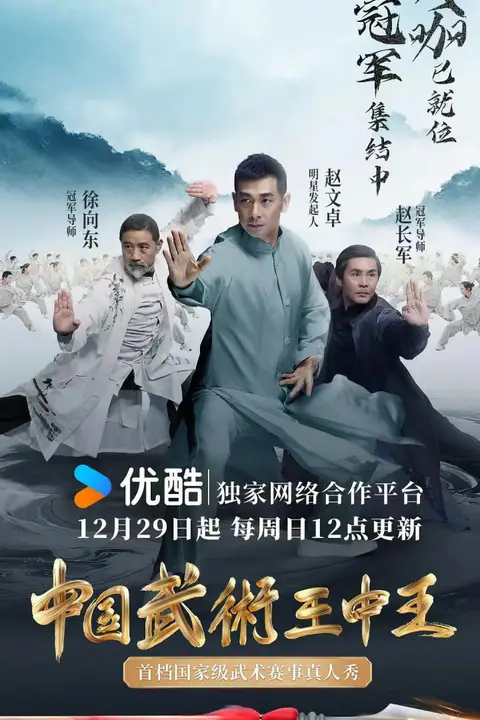 《中国武术王中王》封面