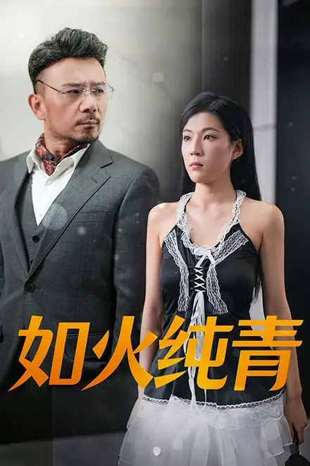 《如火纯青》封面
