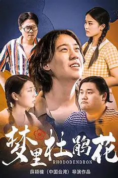 《梦里杜鹃花》封面
