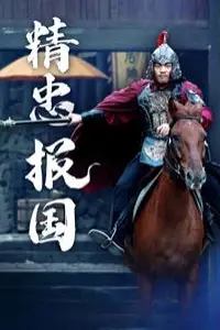 《新精忠报国》封面