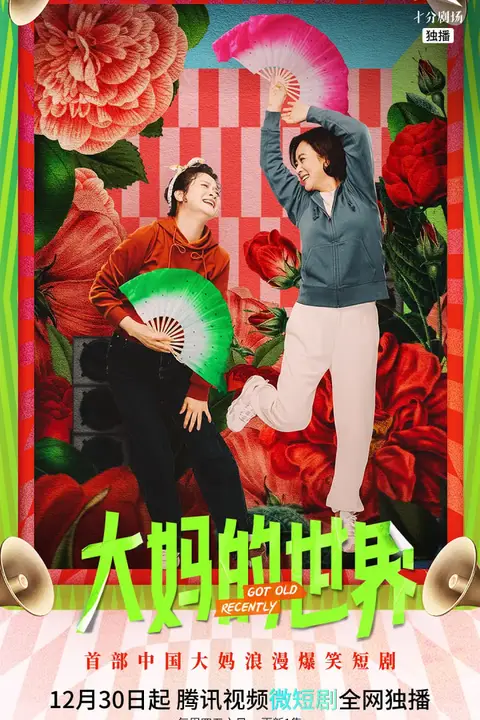 《大妈的世界》封面