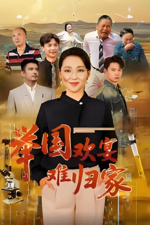 《举国欢宴难归家》封面