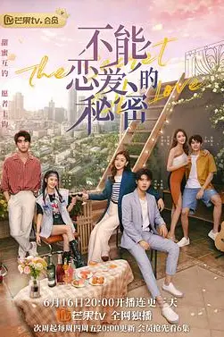 《不能恋爱的秘密》封面