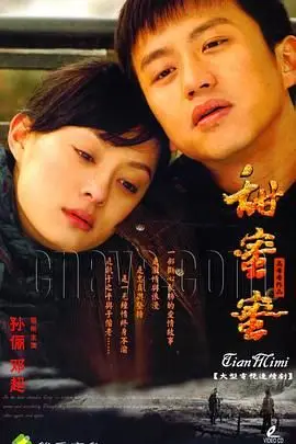 《甜蜜蜜》封面