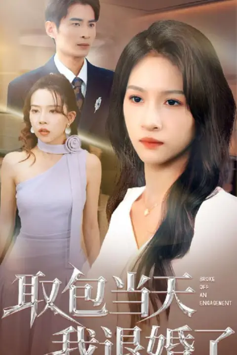 《取包当天我退婚了》封面