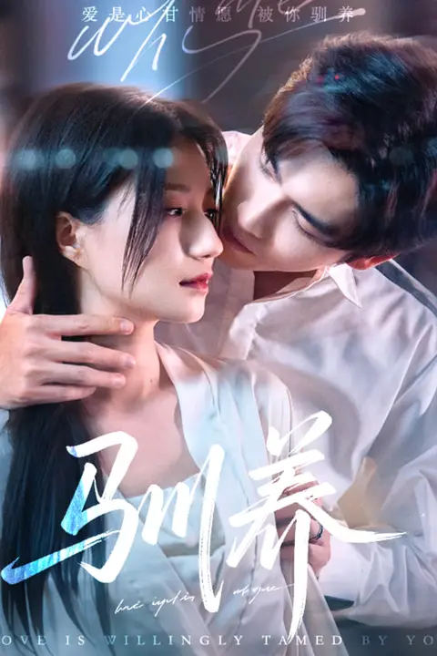 《陷爱》封面