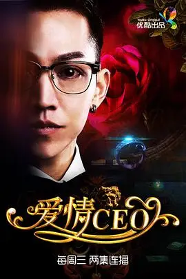 《爱情CEO》封面