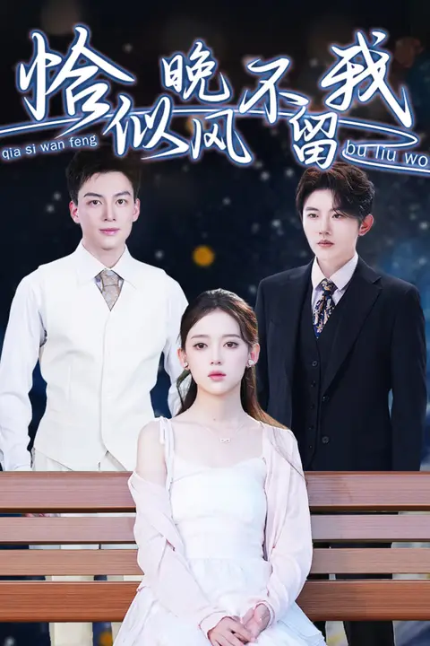 《恰似晚风不留我(弃他如风)》封面