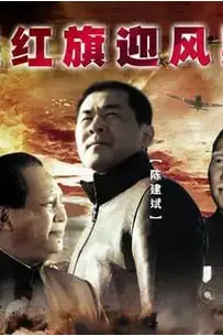 《五星红旗迎风飘扬 (2011)》封面