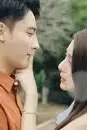 《不辞春色》封面