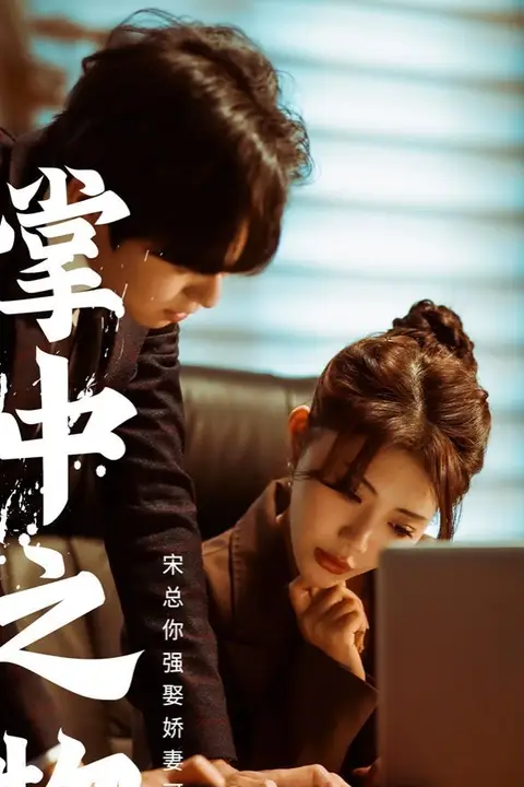《掌中之物:宋总娶娇妻可知错》封面