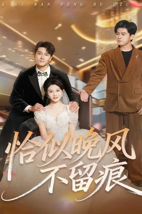 《恰似晚风不留痕》封面
