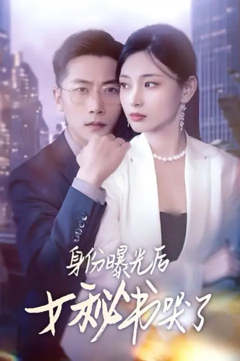 《身份曝光后女秘书哭了》封面