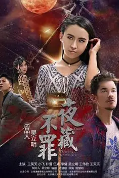 《夜不藏罪》封面