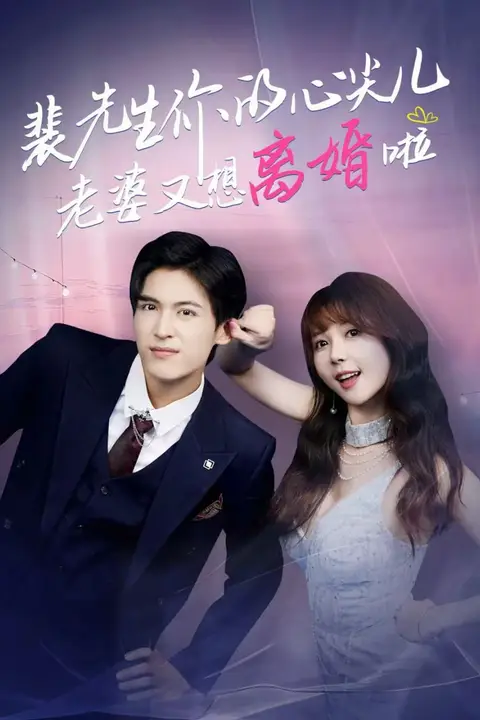 《裴先生你的心尖儿老婆又想离婚啦(裴先生的复婚攻略)》封面