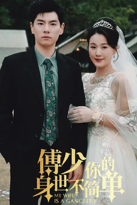 《傅少你的身世不简单》封面