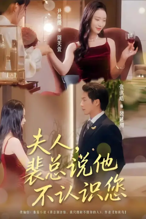《夫人裴总说他不认识您》封面