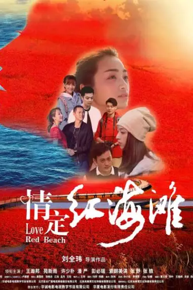 《情定红海滩》封面
