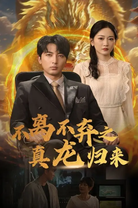 《不离不弃之真龙归来》封面