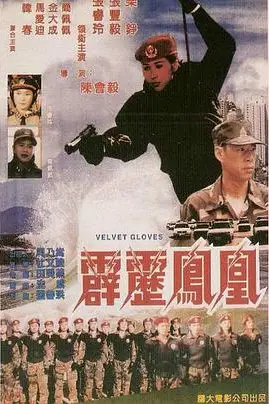 《霹雳凤凰》封面