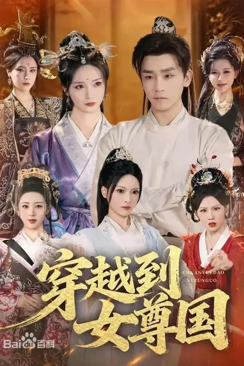 《穿越到女尊国》封面
